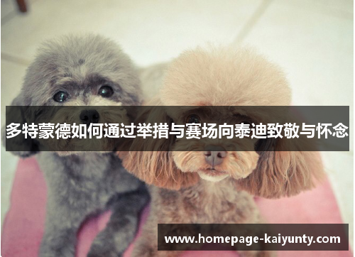 多特蒙德如何通过举措与赛场向泰迪致敬与怀念