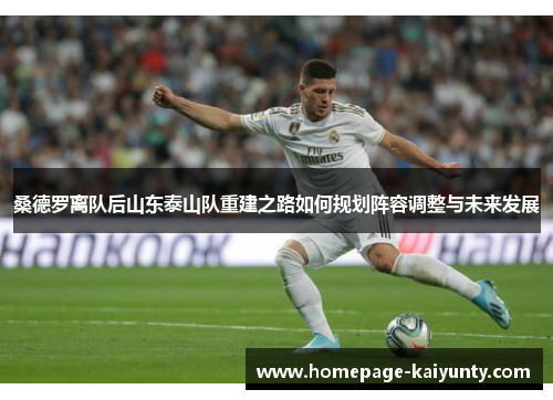 桑德罗离队后山东泰山队重建之路如何规划阵容调整与未来发展