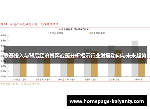 联赛投入与背后经济博弈战略分析揭示行业发展动向与未来趋势