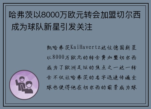 哈弗茨以8000万欧元转会加盟切尔西 成为球队新星引发关注